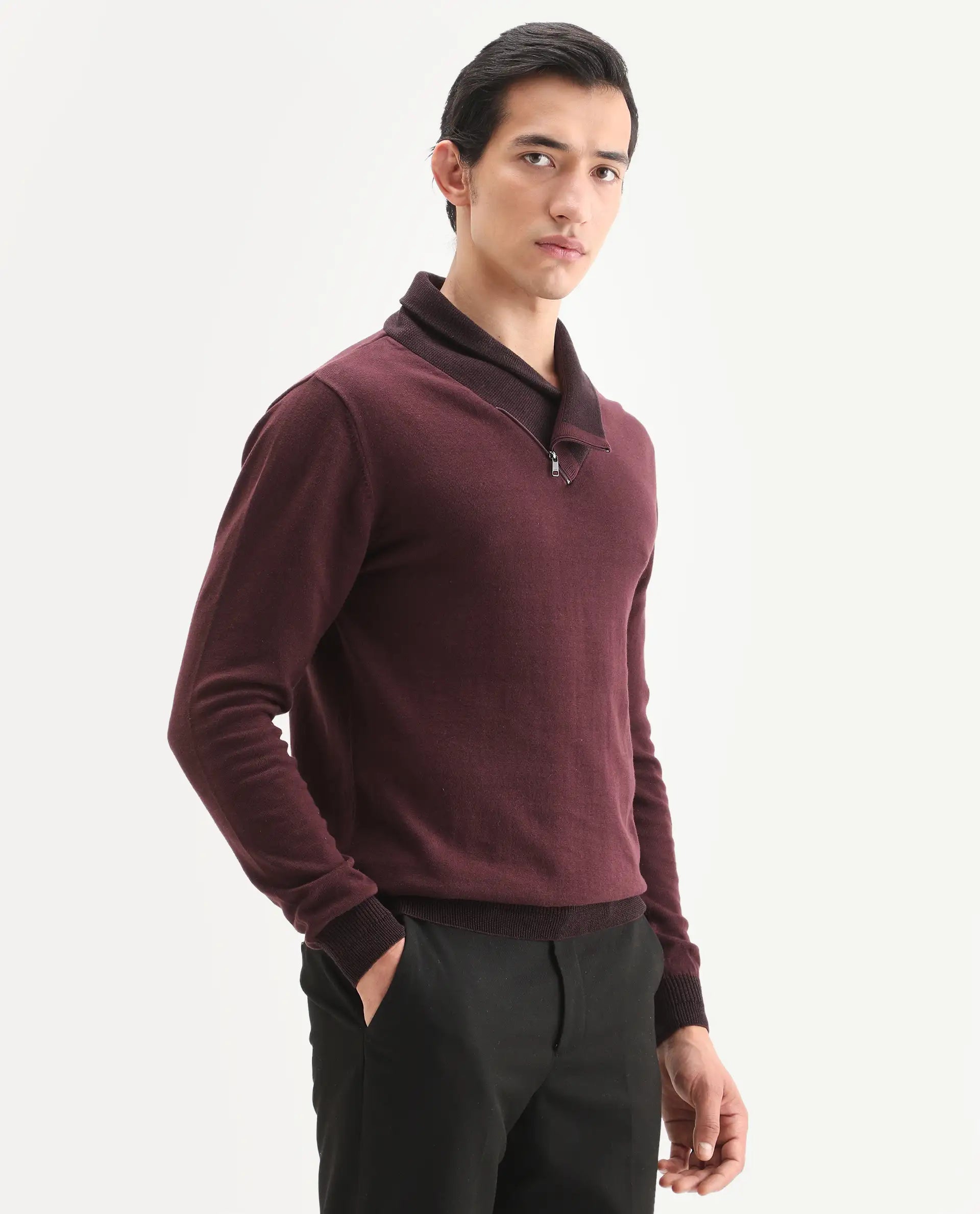 Rare Rabbit Men's Denver Brown Cotton Plain Regular Fit Full Sleeve Shawl Neck Sweater