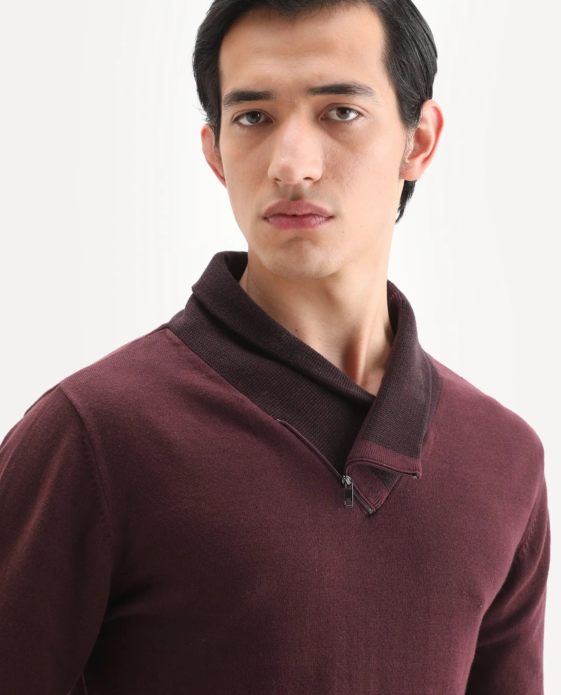 Rare Rabbit Men's Denver Brown Cotton Plain Regular Fit Full Sleeve Shawl Neck Sweater