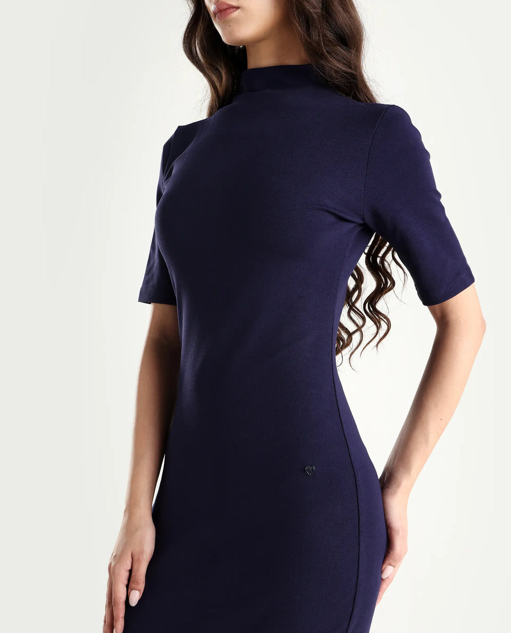 Rareism Women's Rotary Dusky Purple Cotton Blend High Neck Plain Maxi Slim Fit Dress