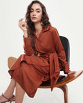 Rareism Women's Jenlin Rust Polyester Blend Full Sleeve Jonny Collar Straight Fit Dress
