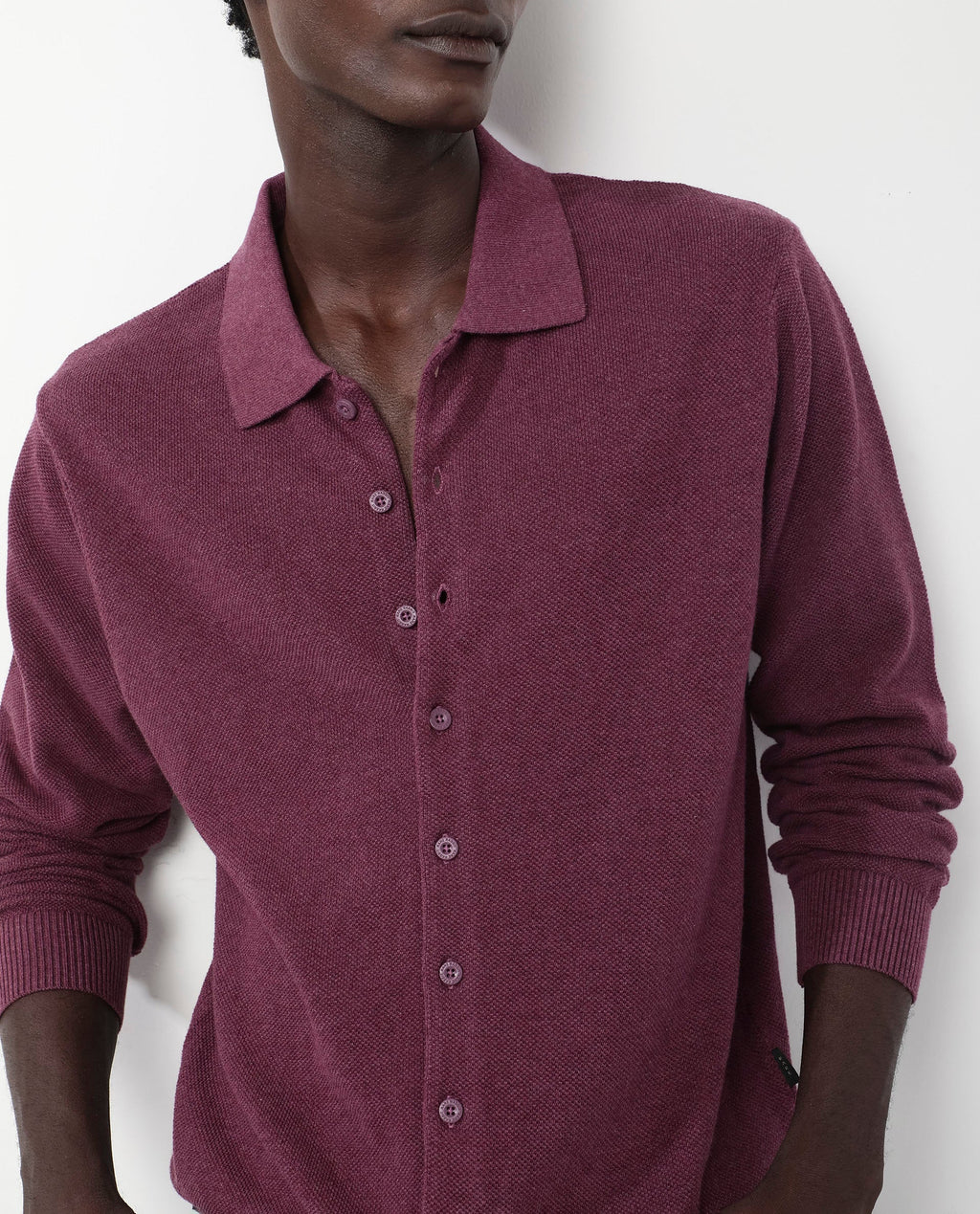 Rare Rabbit Men's Alias-N Dusky Purple Cotton Plain Regular Fit Full Sleeve Collared Shirt