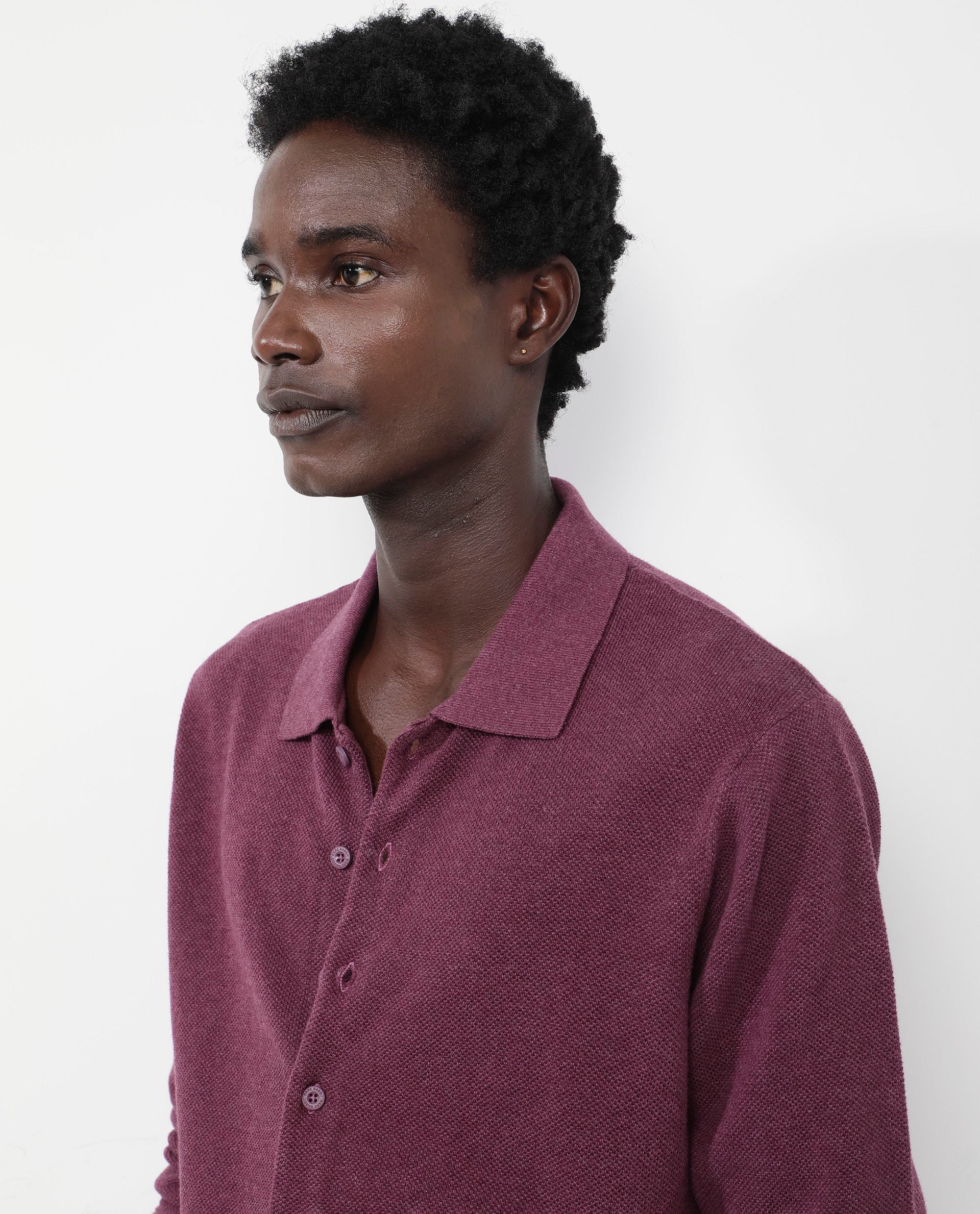 Rare Rabbit Men's Alias-N Dusky Purple Cotton Plain Regular Fit Full Sleeve Collared Shirt