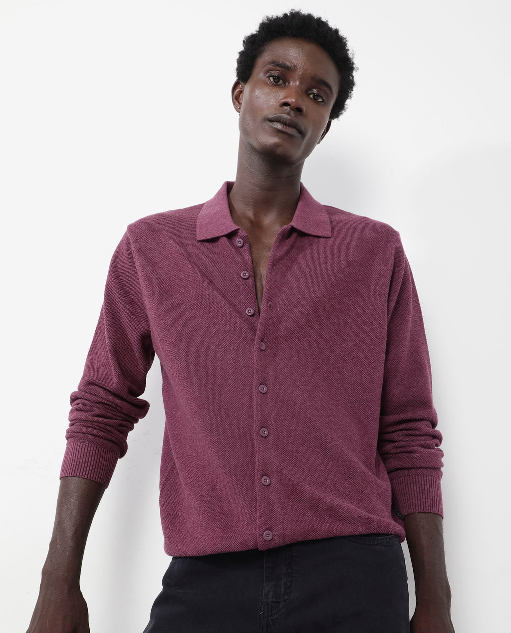 Rare Rabbit Men's Alias-N Dusky Purple Cotton Plain Regular Fit Full Sleeve Collared Shirt