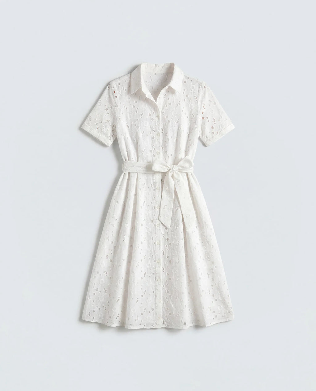 Rareism Women's Rahi Primary White Cotton Half Sleeve Spread Collar A-Line Plain Dress