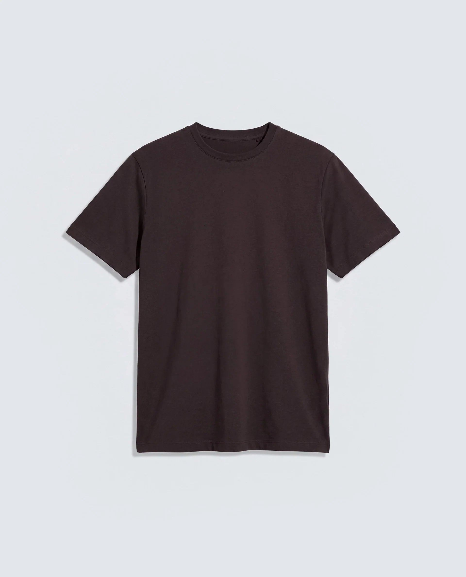 Rare Rabbit Men's Basic Rr-Corp-Arve Dark Brown Cotton Crew Neck Regular Plain T-Shirt