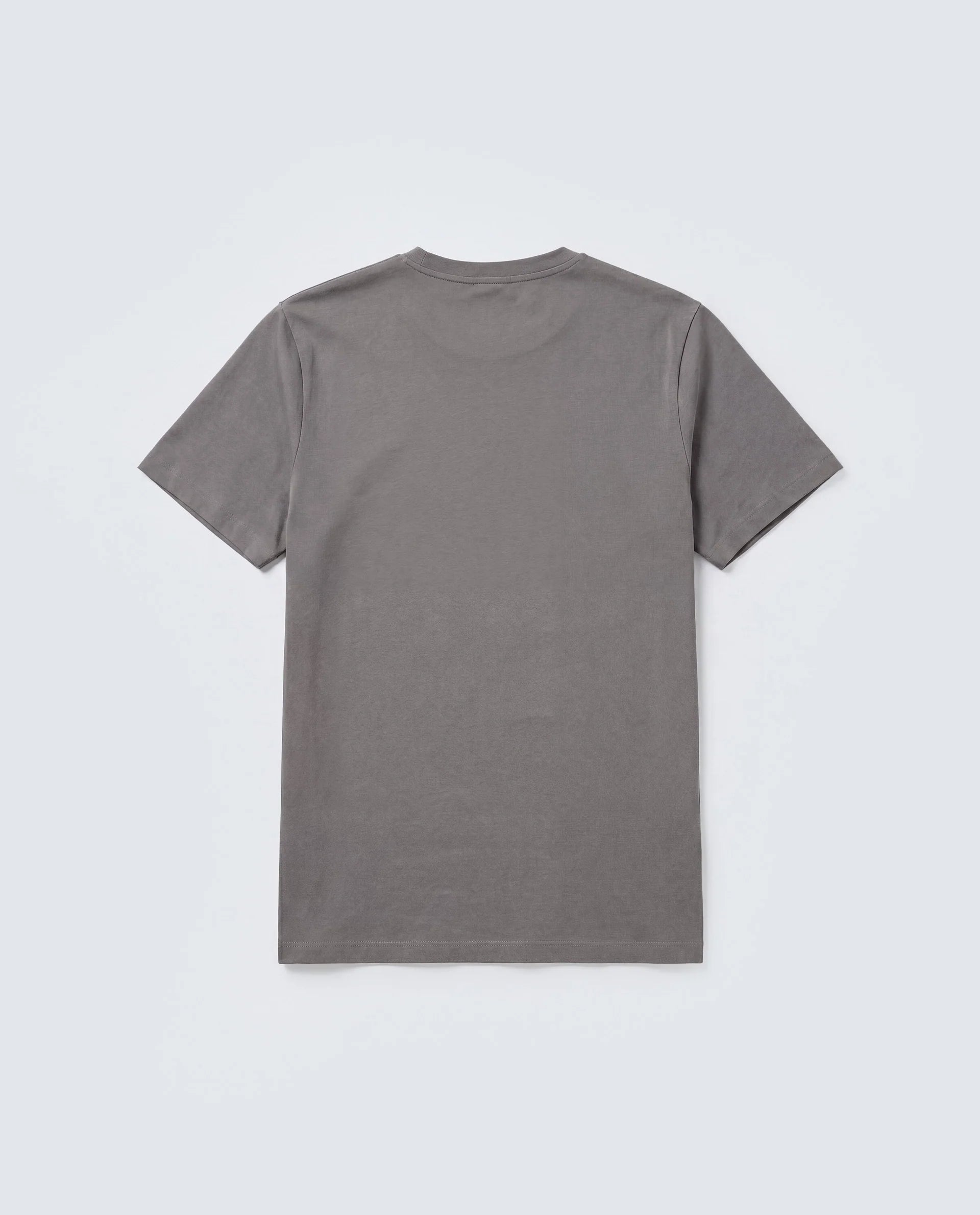 Rare Rabbit Men's Basic Rr-Corp-Arve Grey Cotton Crew Neck Regular Plain T-Shirt