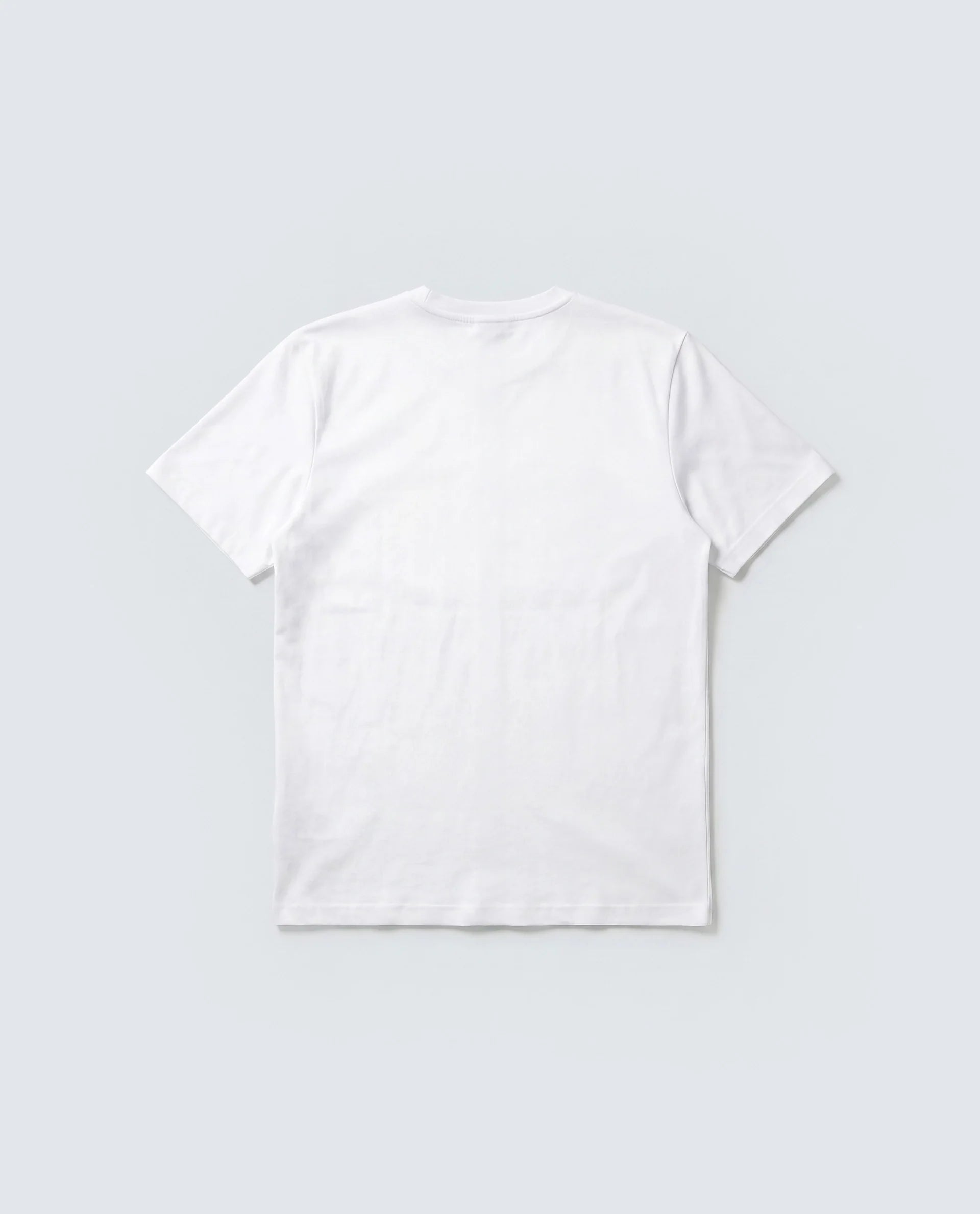 Rare Rabbit Men's Basic Rr-Corp-Arve White Cotton Crew Neck Regular Plain T-Shirt