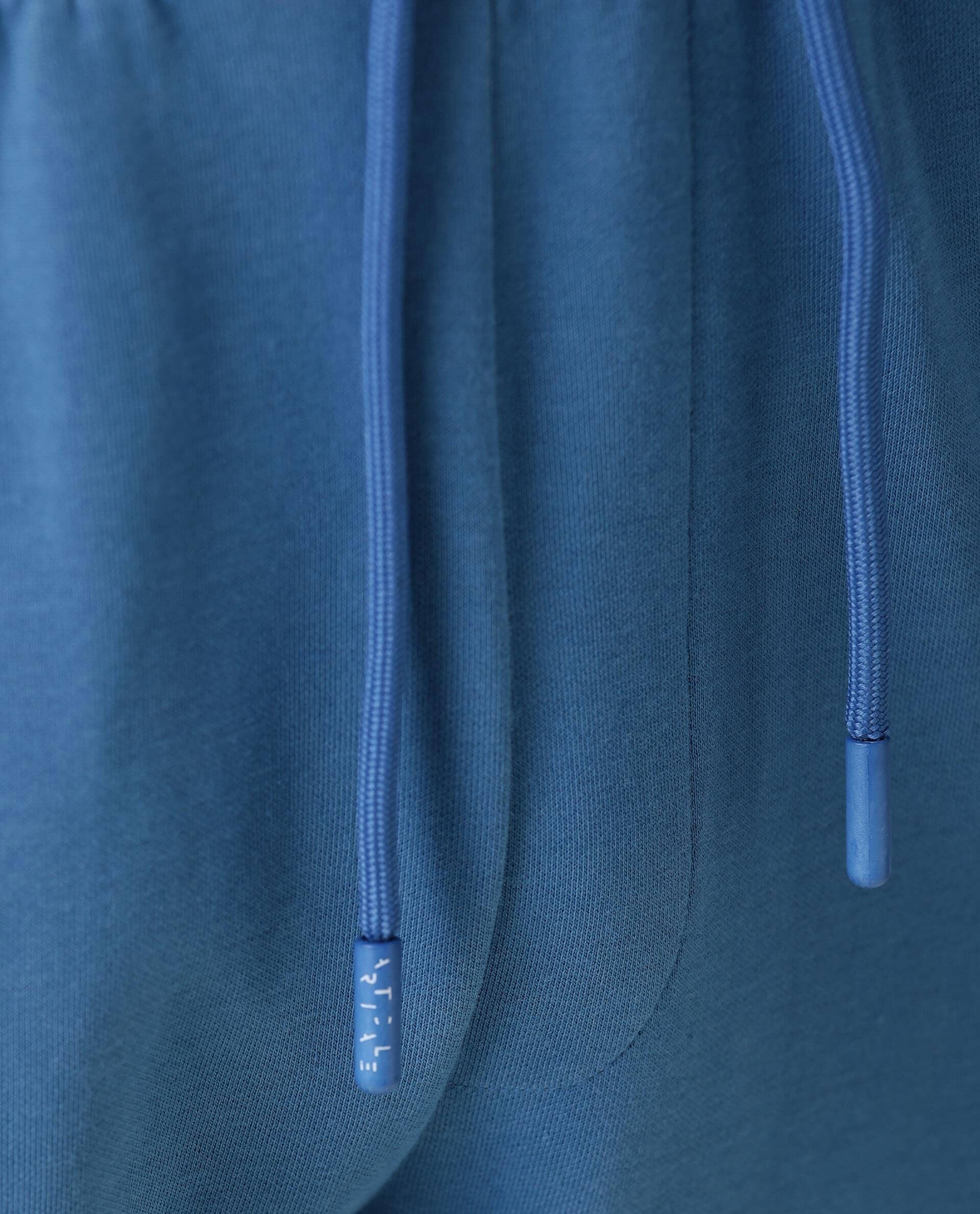Joggers  Enamel Blue Men