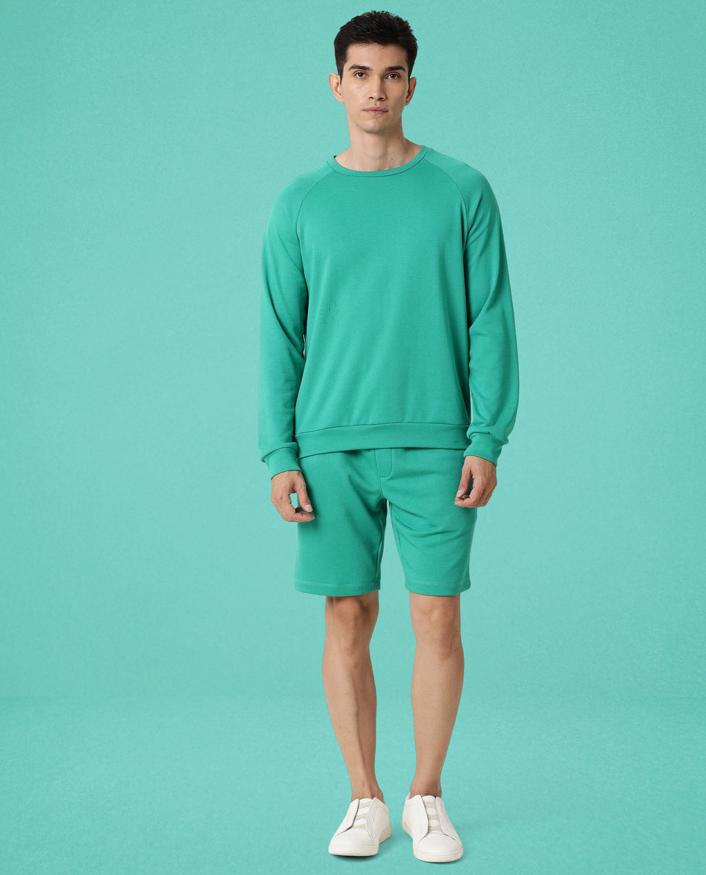 Rare Rabbit Articale Men's Arum Emerald Green Cotton Fabric Full Sleeves Solid Sweatshirt