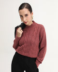 Rareism Women's Emmy Dark Rust Acrylic Blend High Neck Relaxed Fit Sweater